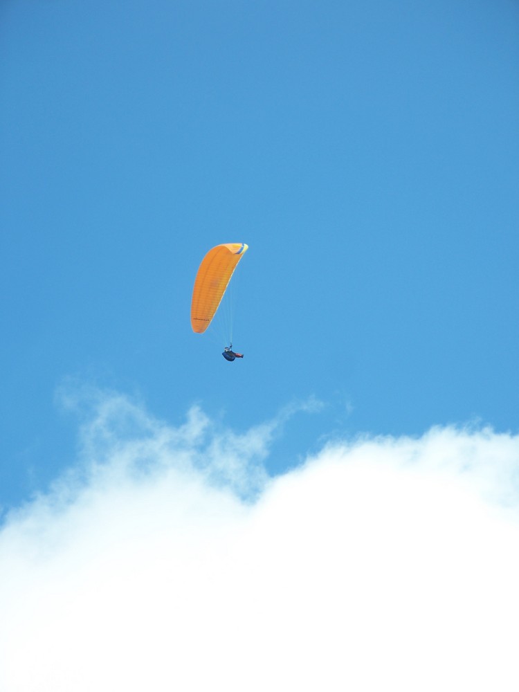 Paraglyder