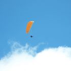 Paraglyder