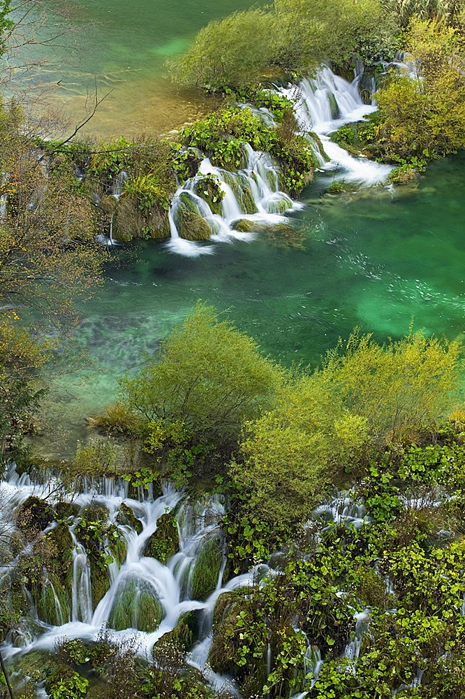 Paraíso acuático II