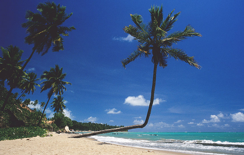 Paraiso de Alagoas