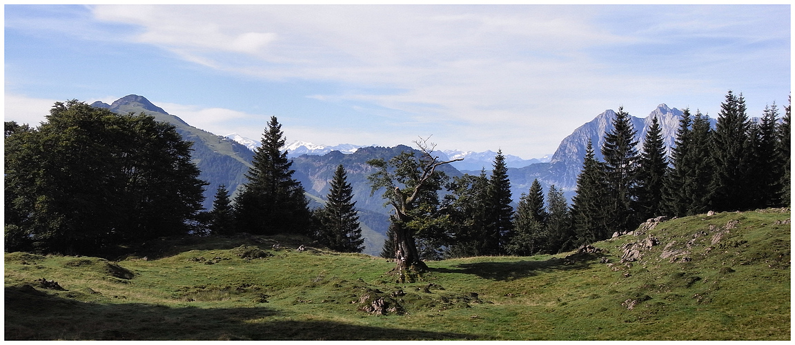 paraíso de montaña