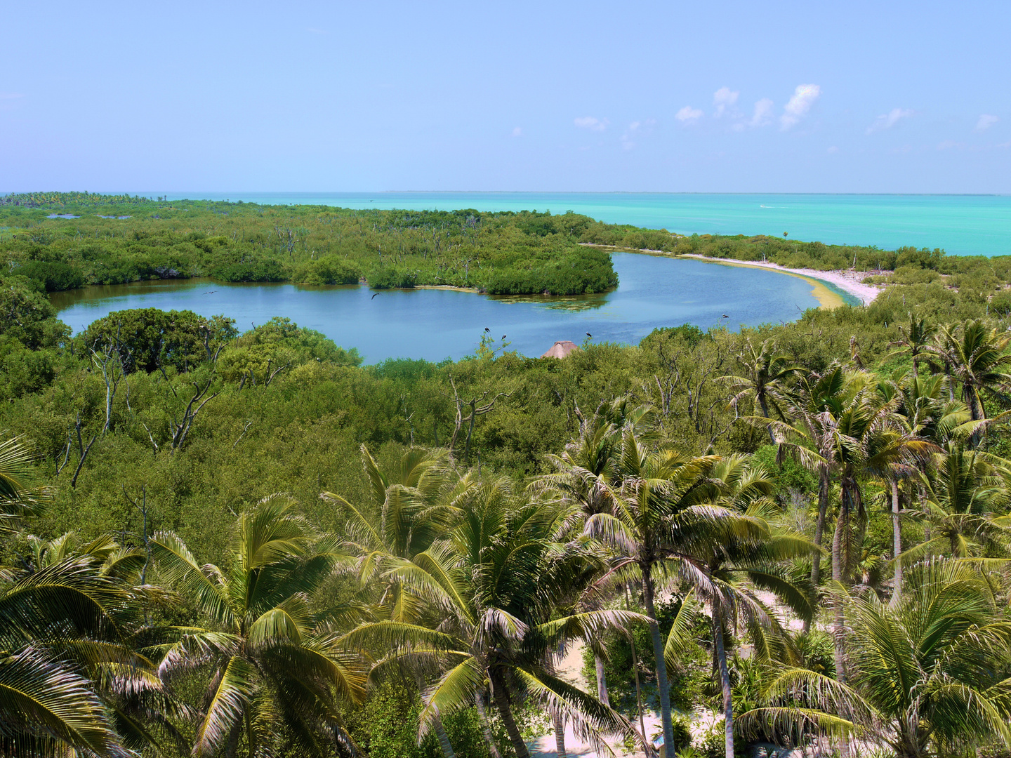 Paraíso Tropical en una Isla Virgen