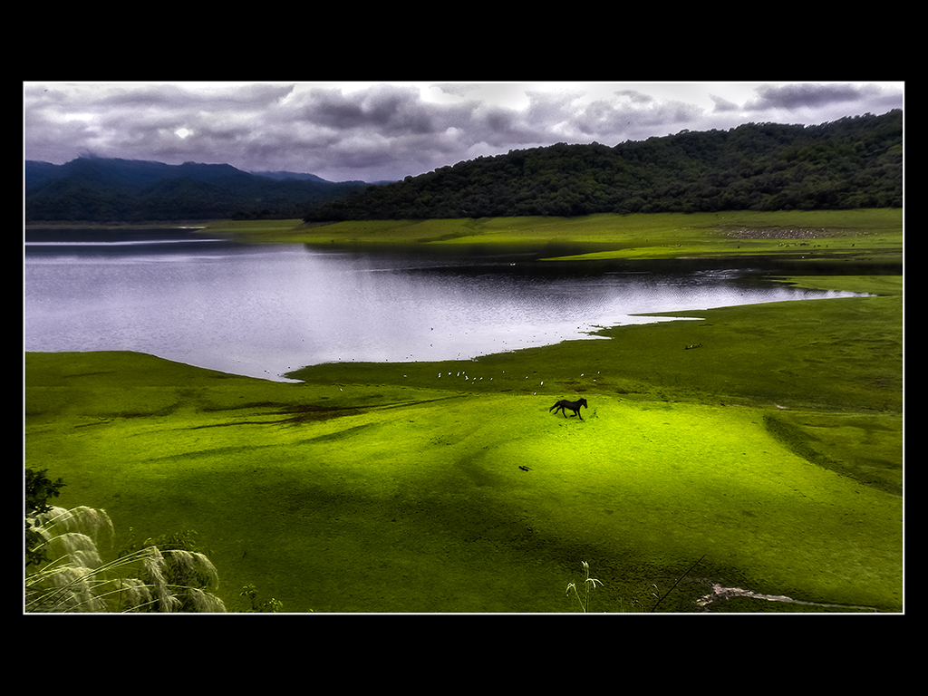 Paraiso tucumano