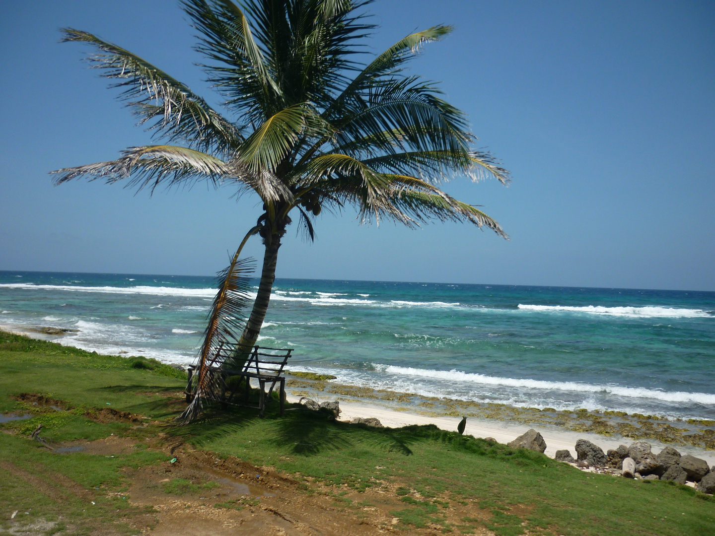 Paraíso y Tranquilidad- San Andrés Islas- Colombia