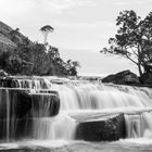 Paraitepui de Roraima