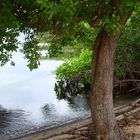 Paraje en Utila Honduras