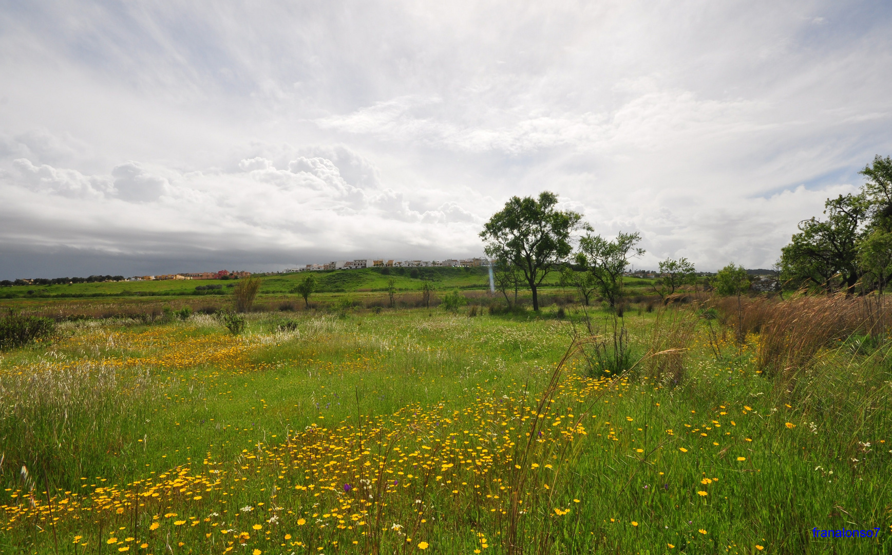 Paraje Florido de Primavera en Aljaraque