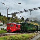 Paralleleinfahrt BDe4/4 92 von Wald und CZm1/2 31 von Bäretswil