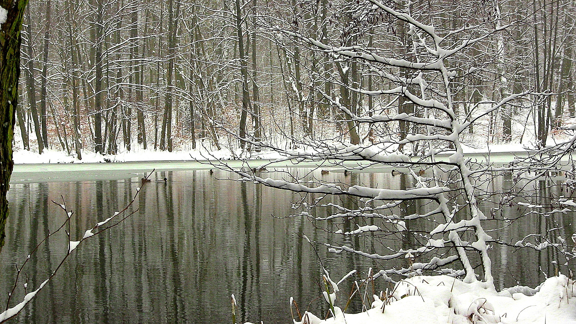 Parallelen