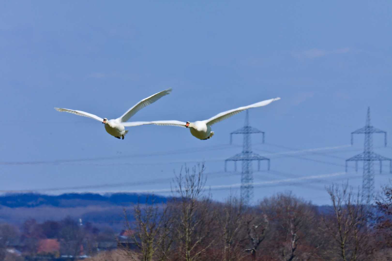 Parallelflug Bilderreihe 1