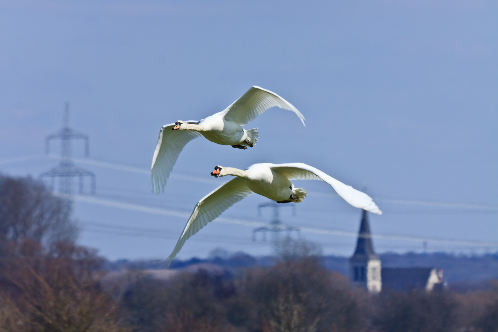 Parallelflug Bilderreihe 4