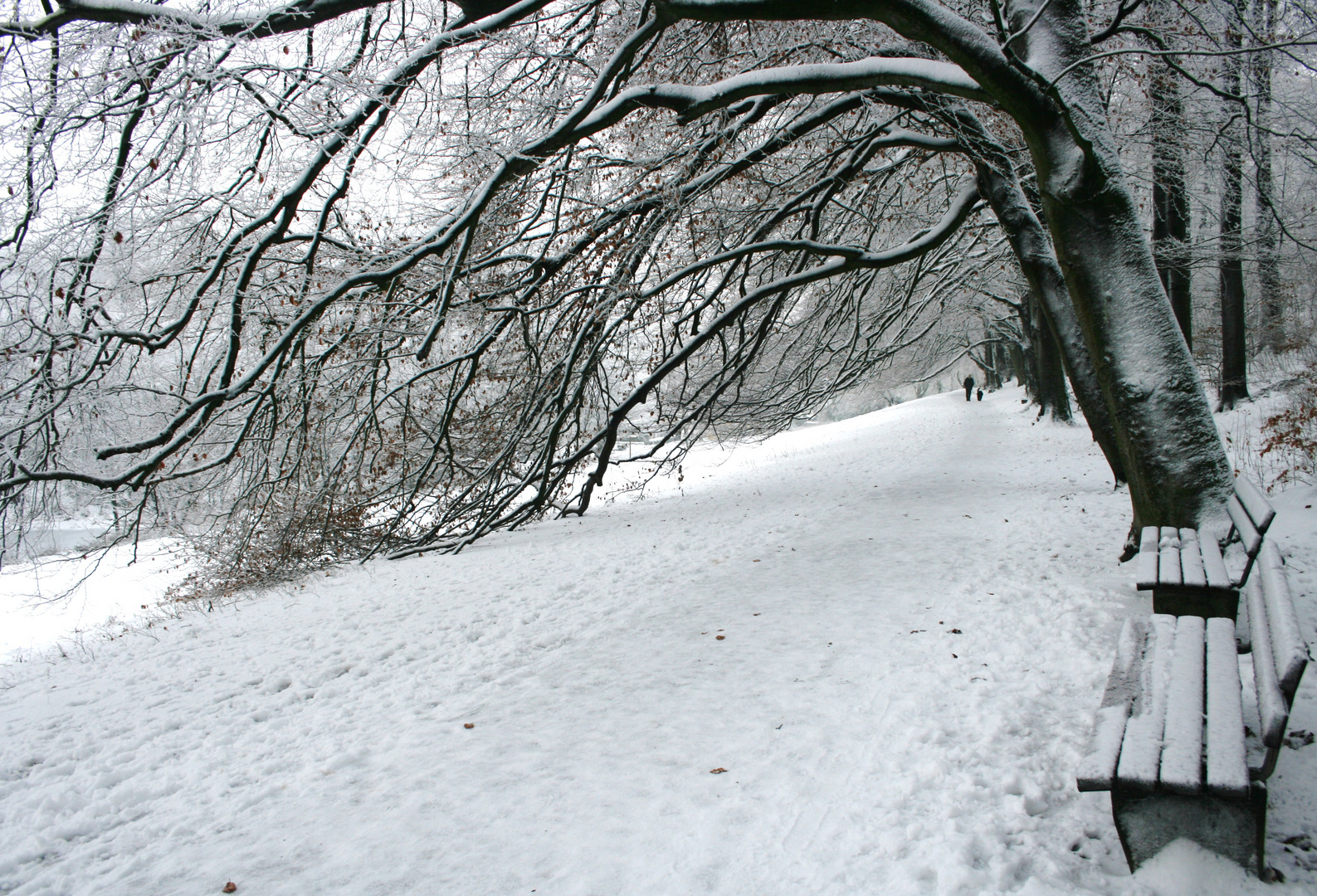 Parallelweg zur Promenade in Bielefeld 2