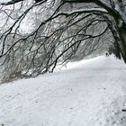 Parallelweg zur Promenade in Bielefeld 2