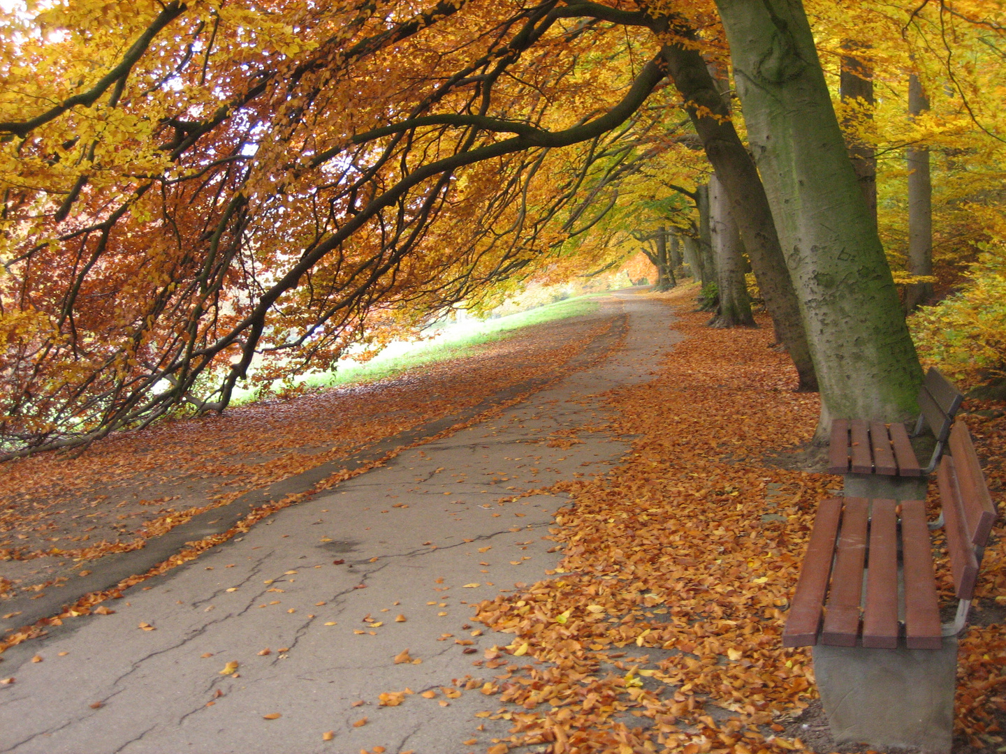 Parallelweg zur Promenade in Bielefeld