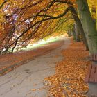 Parallelweg zur Promenade in Bielefeld