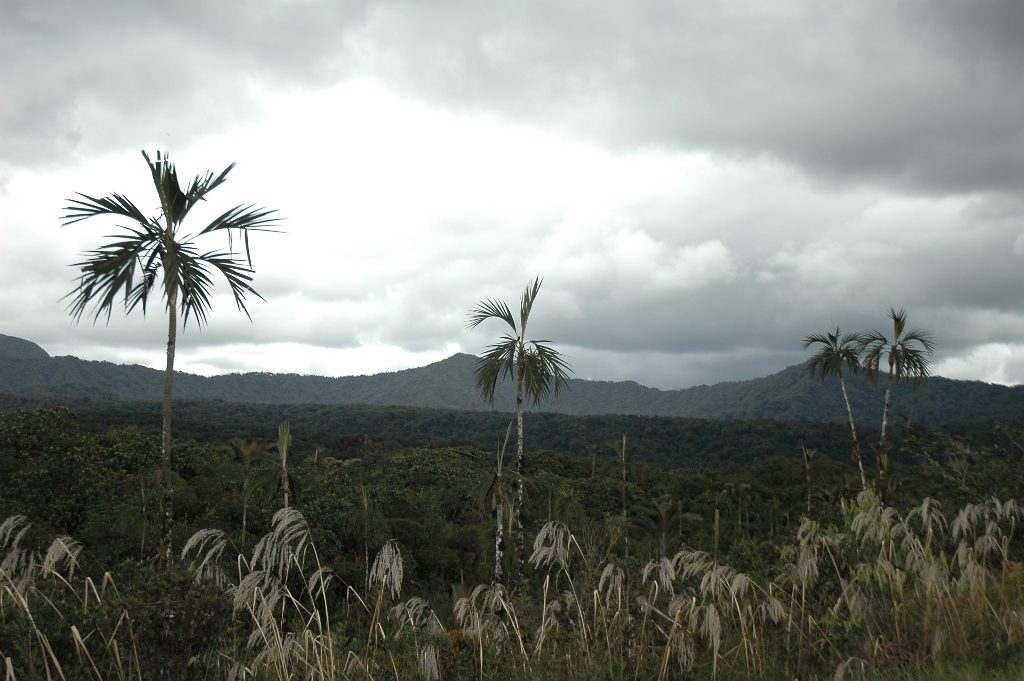 Paramo (3'000 msm)