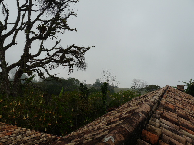 Paramo del duende