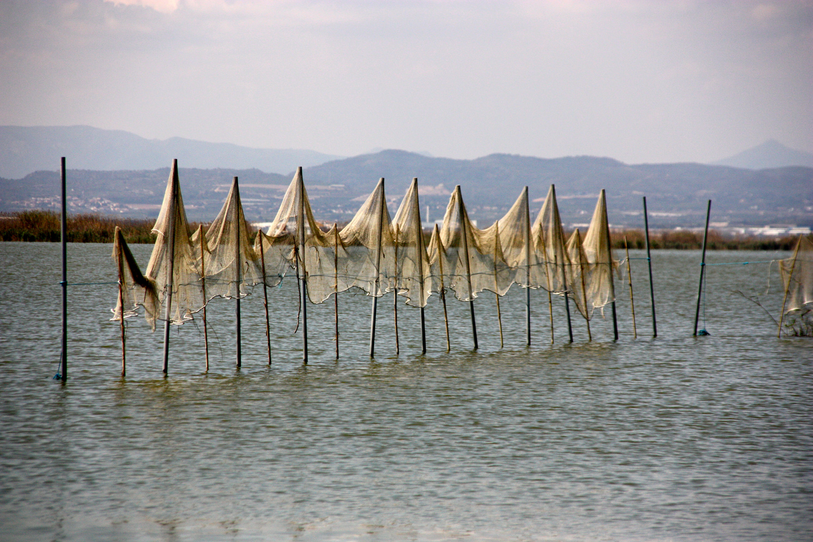 Parany a l'albufera