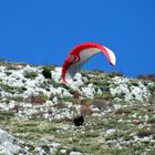 Parapente