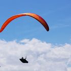 Parapente