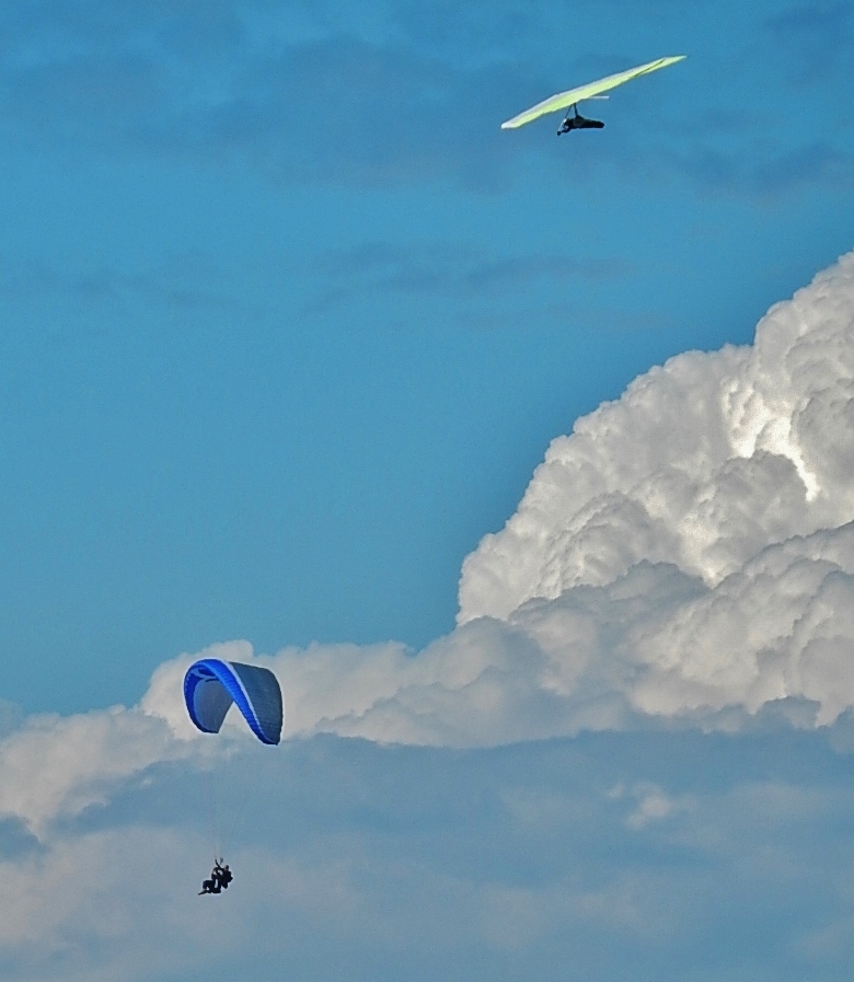 Parapentes dans le ciel équihenois