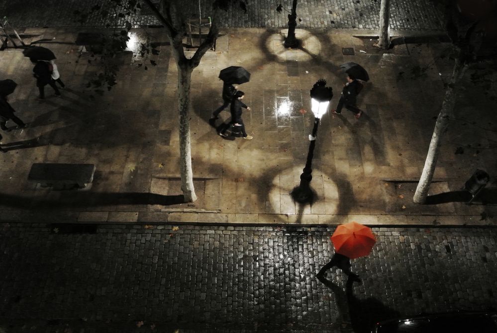 Parapluie