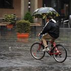 Parapluie camouflée