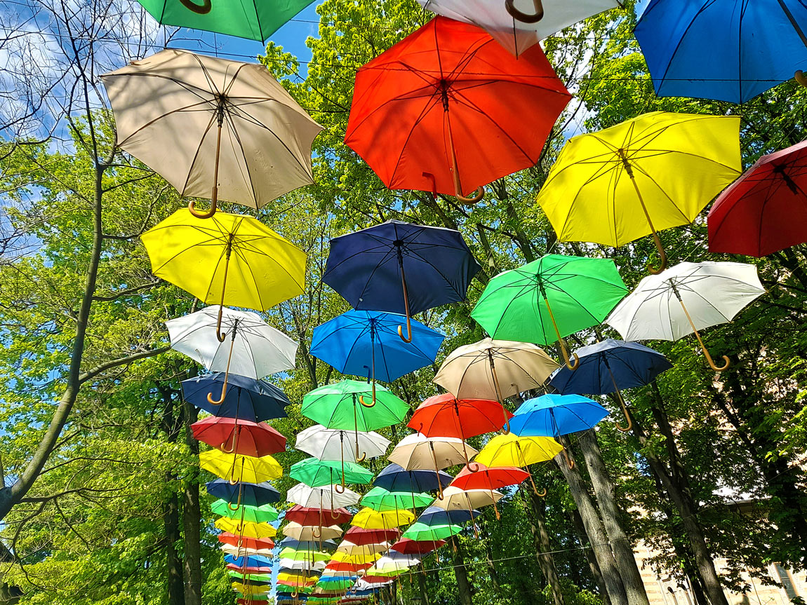 Parapluies volants