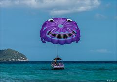 Parasailing......