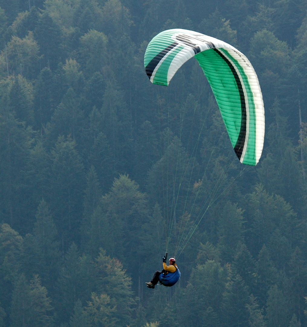 Parasailing in Bregenzerwald