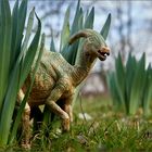 Parasaurolophus