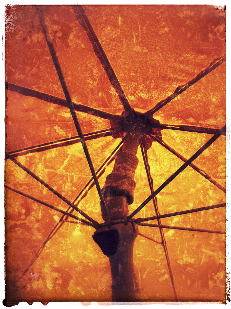 Parasol