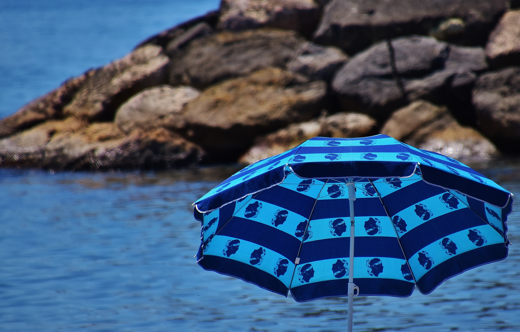 Parasol Corse!