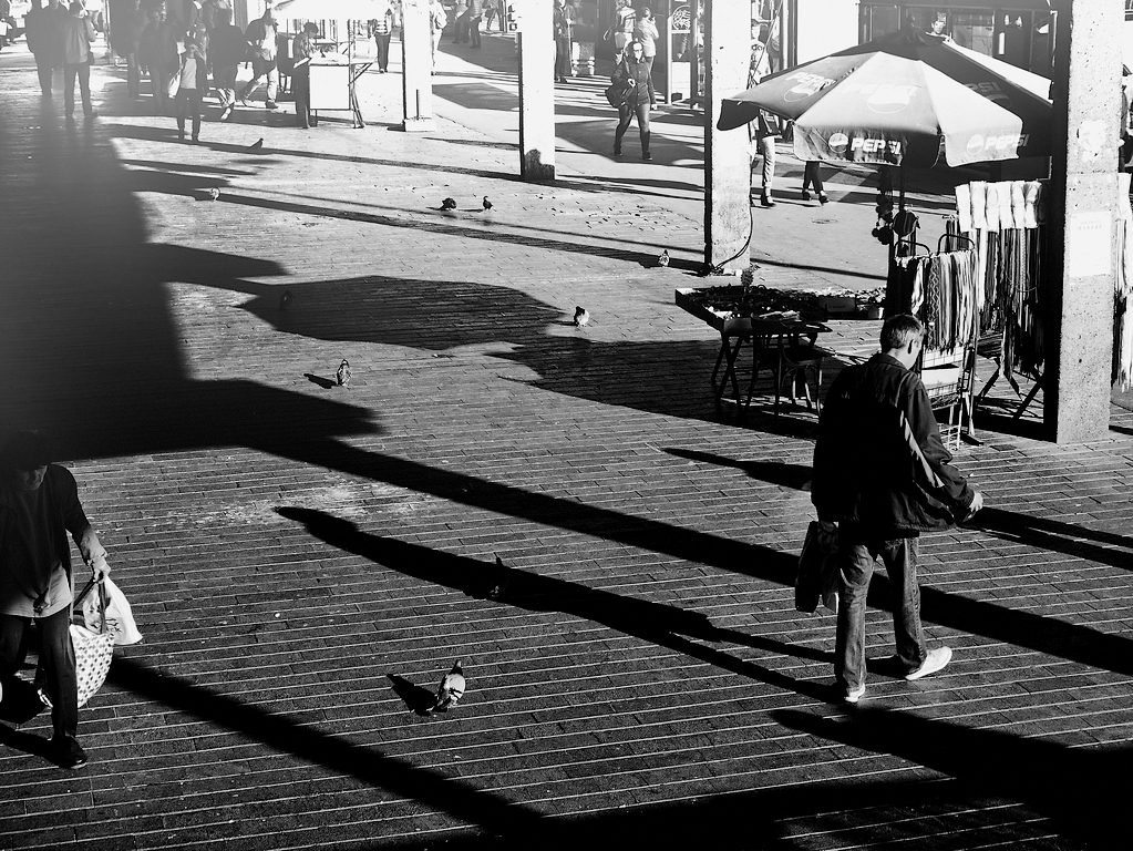 Parasol et quelques pigeons