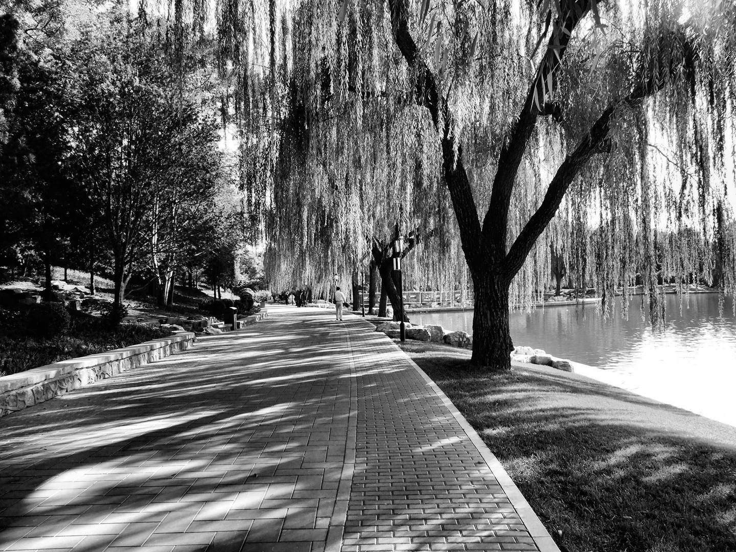 Parc à Beijing