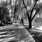 Parc à Beijing