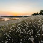 Parc à Huîtres en Vendée