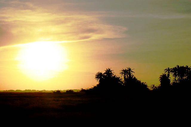 Parc Amboseli, Kenya