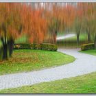 parc aux couleurs d'automne