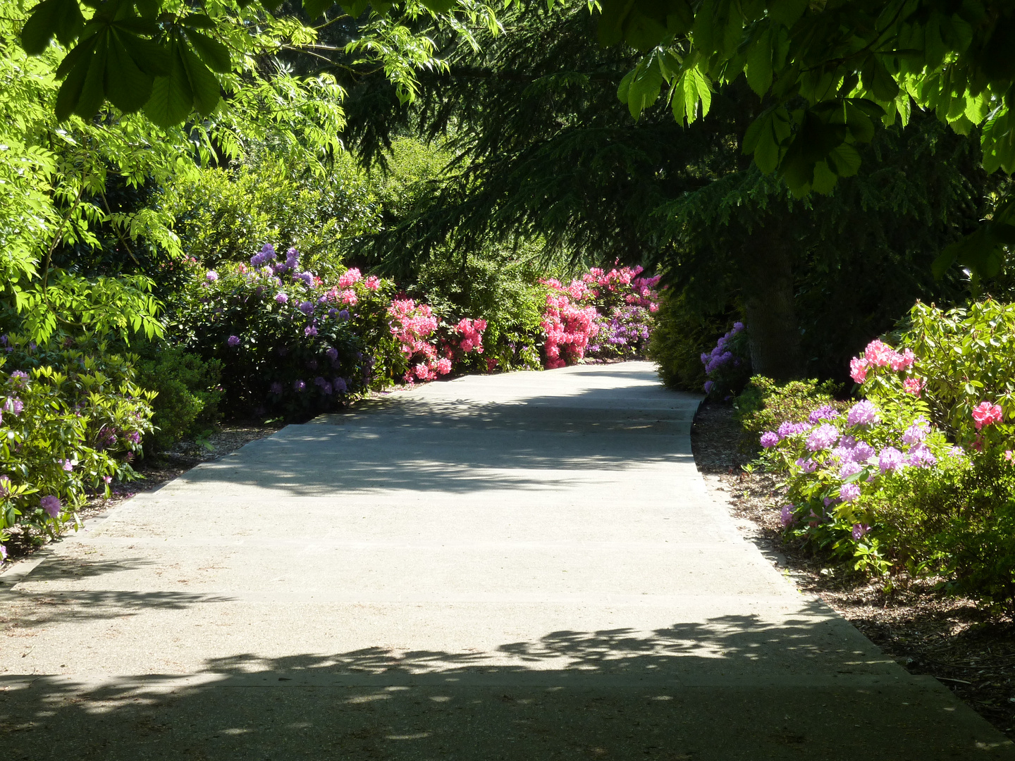 Parc Bagnoles de l'Orne