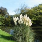 parc barbieux en automne