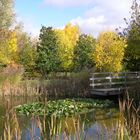 Parc bord de Seine 2