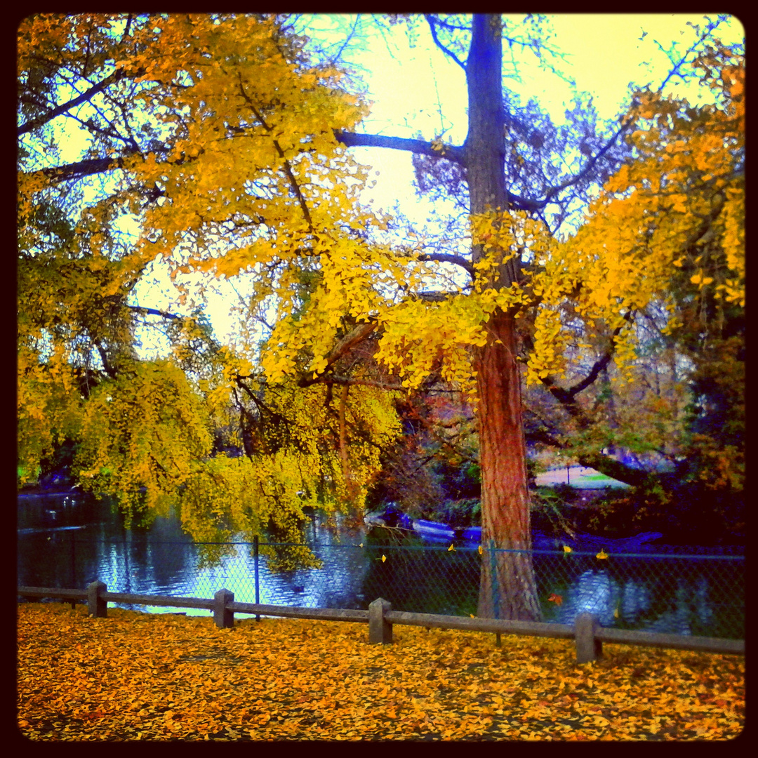 Parc bordelais