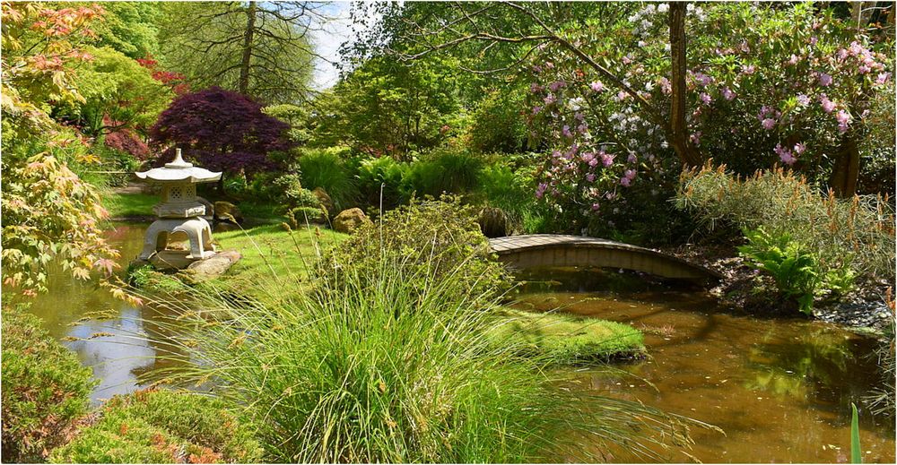 parc botanique de haute bretagne    