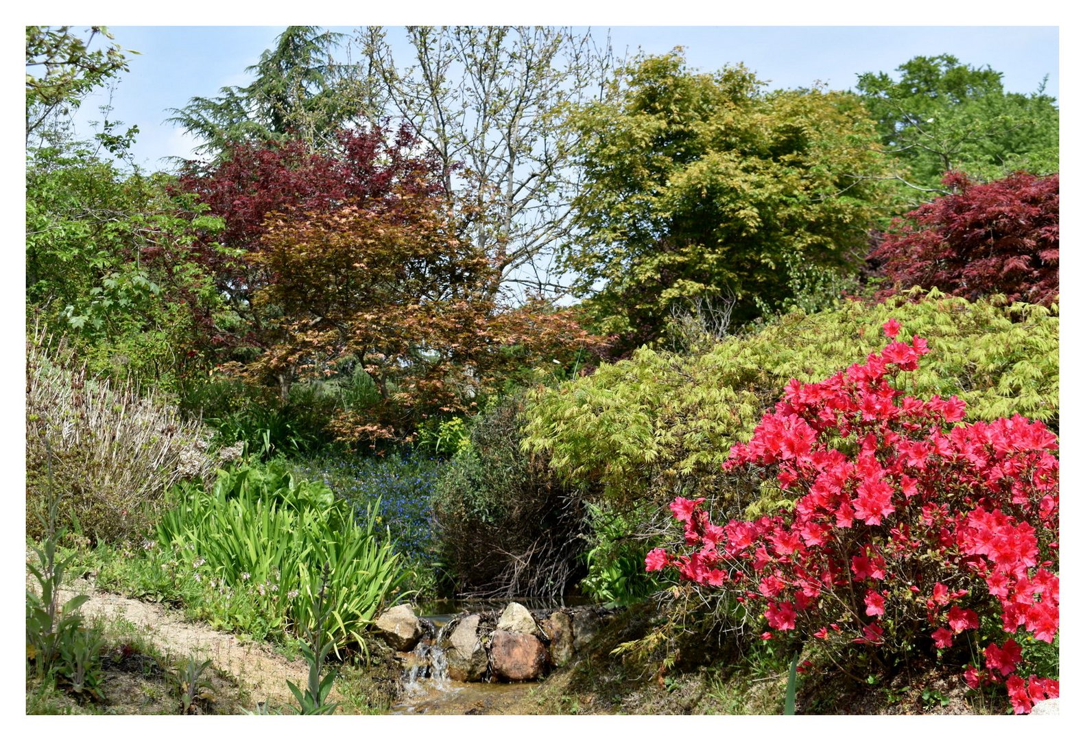 parc botanique de haute bretagne