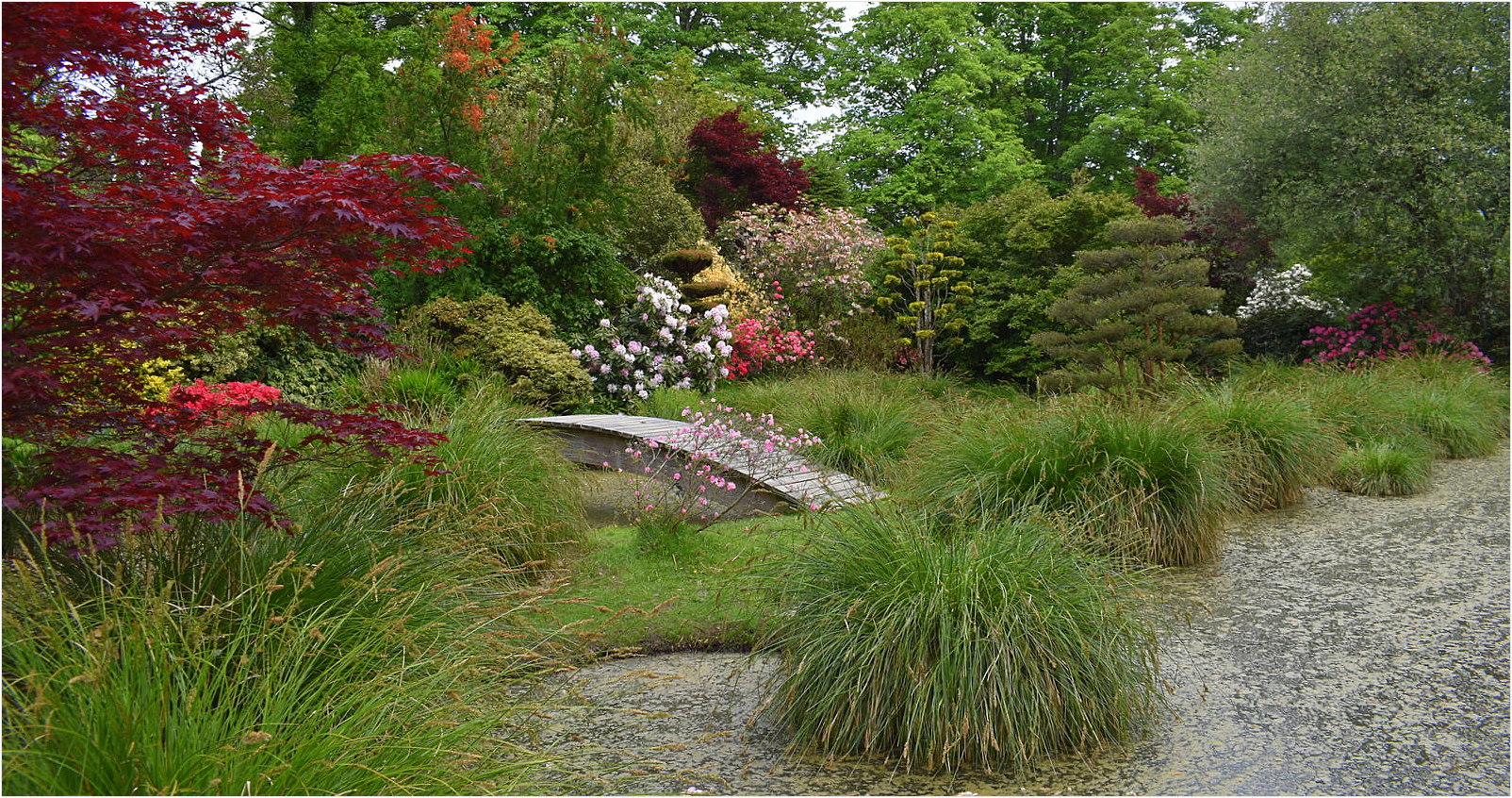 parc botanique de haute bretagne