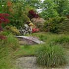 parc botanique de haute bretagne