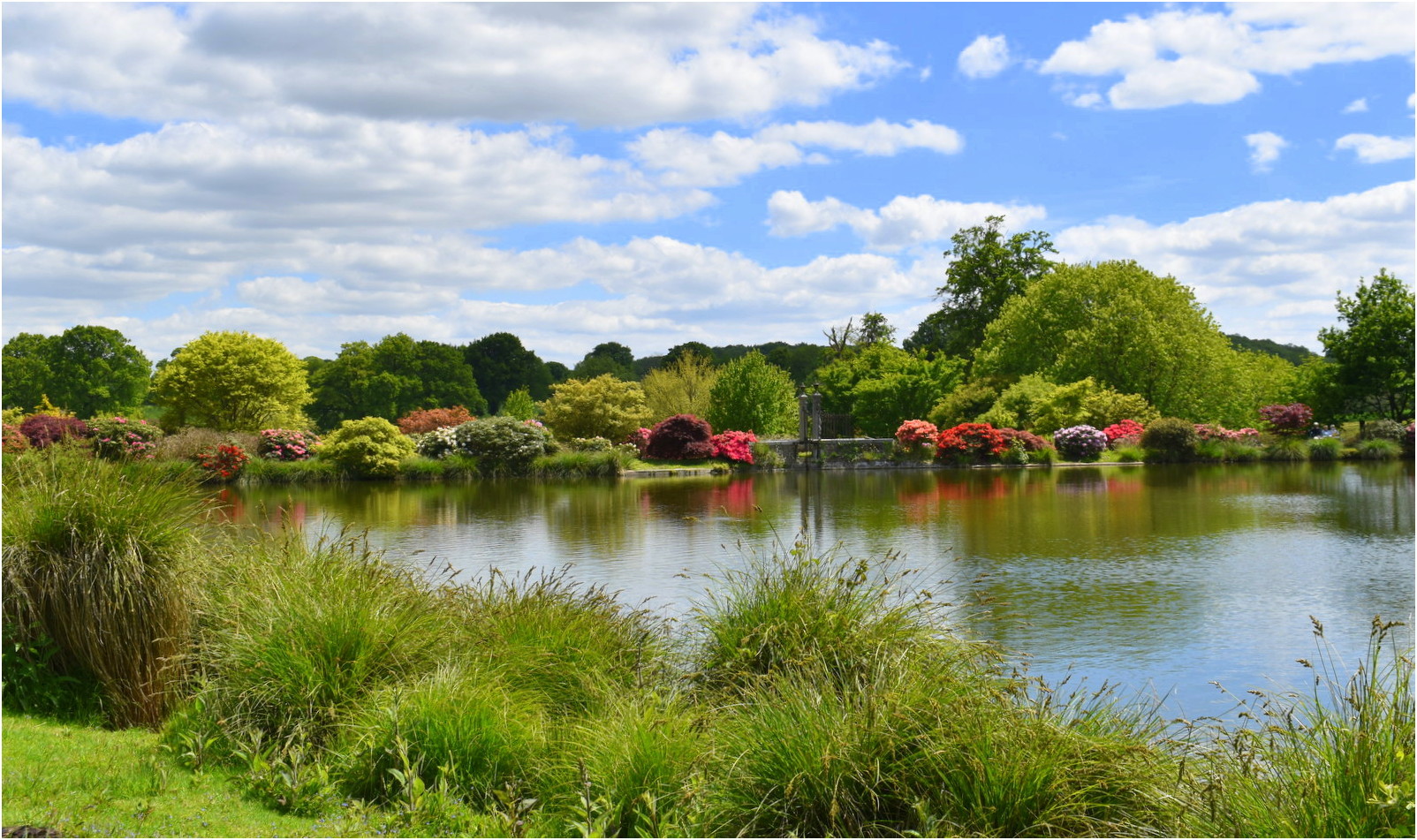 parc botanique de haute bretagne    