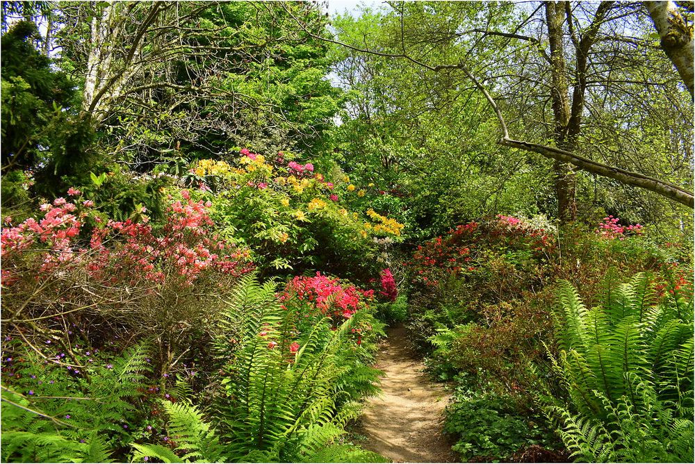 parc botanique de haute bretagne