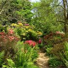 parc botanique de haute bretagne